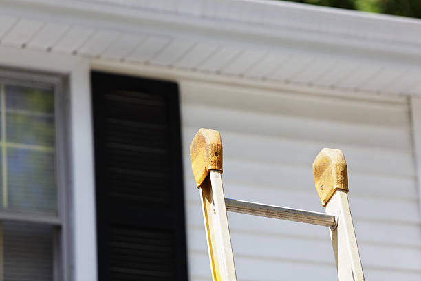 Best Engineered Wood Siding  in Beecher, IL